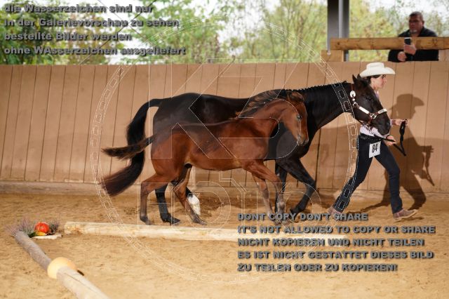 s_K3F05095.JPG